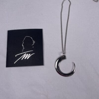 Tapio Wirkkala Villisian hammas pendandt silver