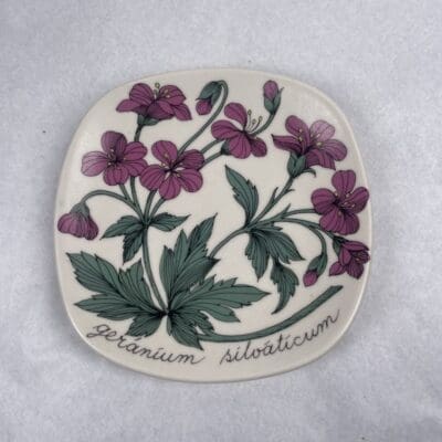 Esteri Tomula  Metsäkurjenpolvi / Geranium Silvaticum Botanica sarjaa