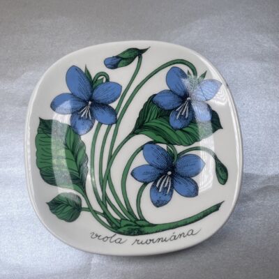 Arabia Botanica Viola riviniana